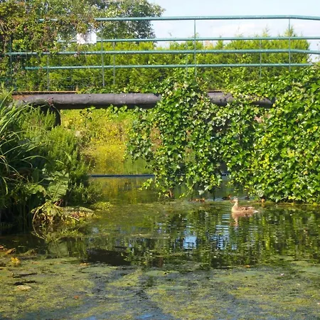Spacieux Avec Jardin, Barque, Et Label Tourisme Handicap - Marais Audomarois - Fr-1-376-72 *